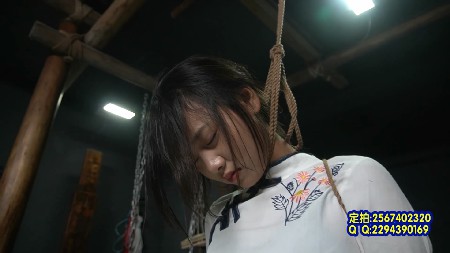 224942shbpp21vp3v1jpsv.jpg