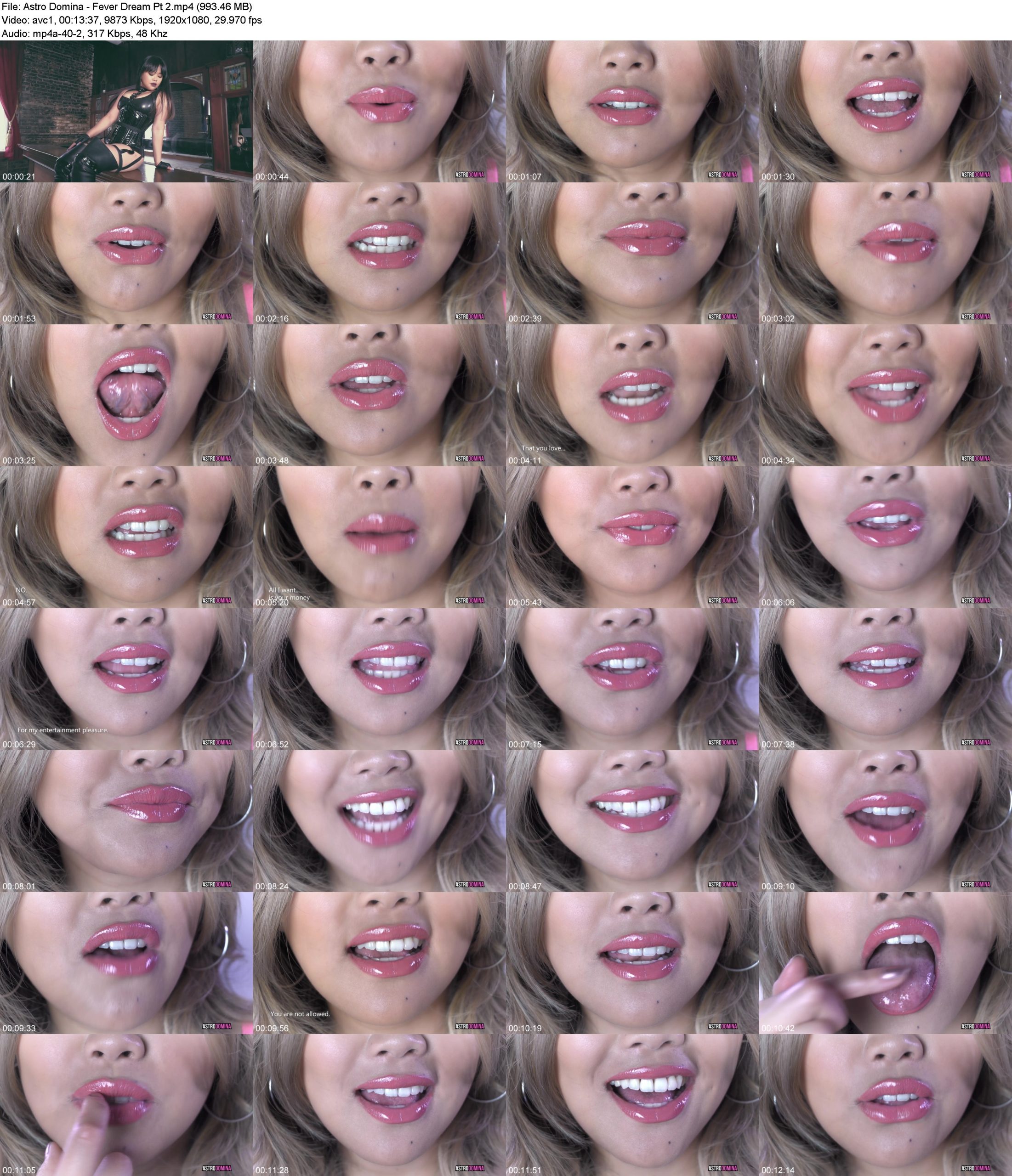 s1fjizmv5wp.jpg