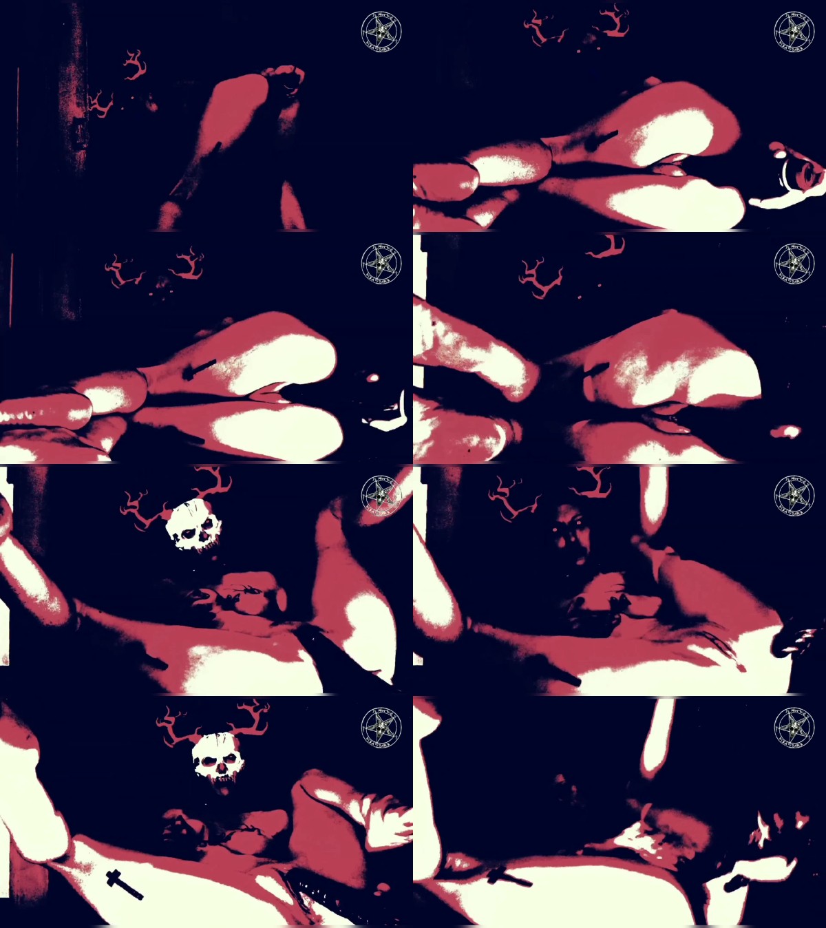 sxfm2dmq515.jpg