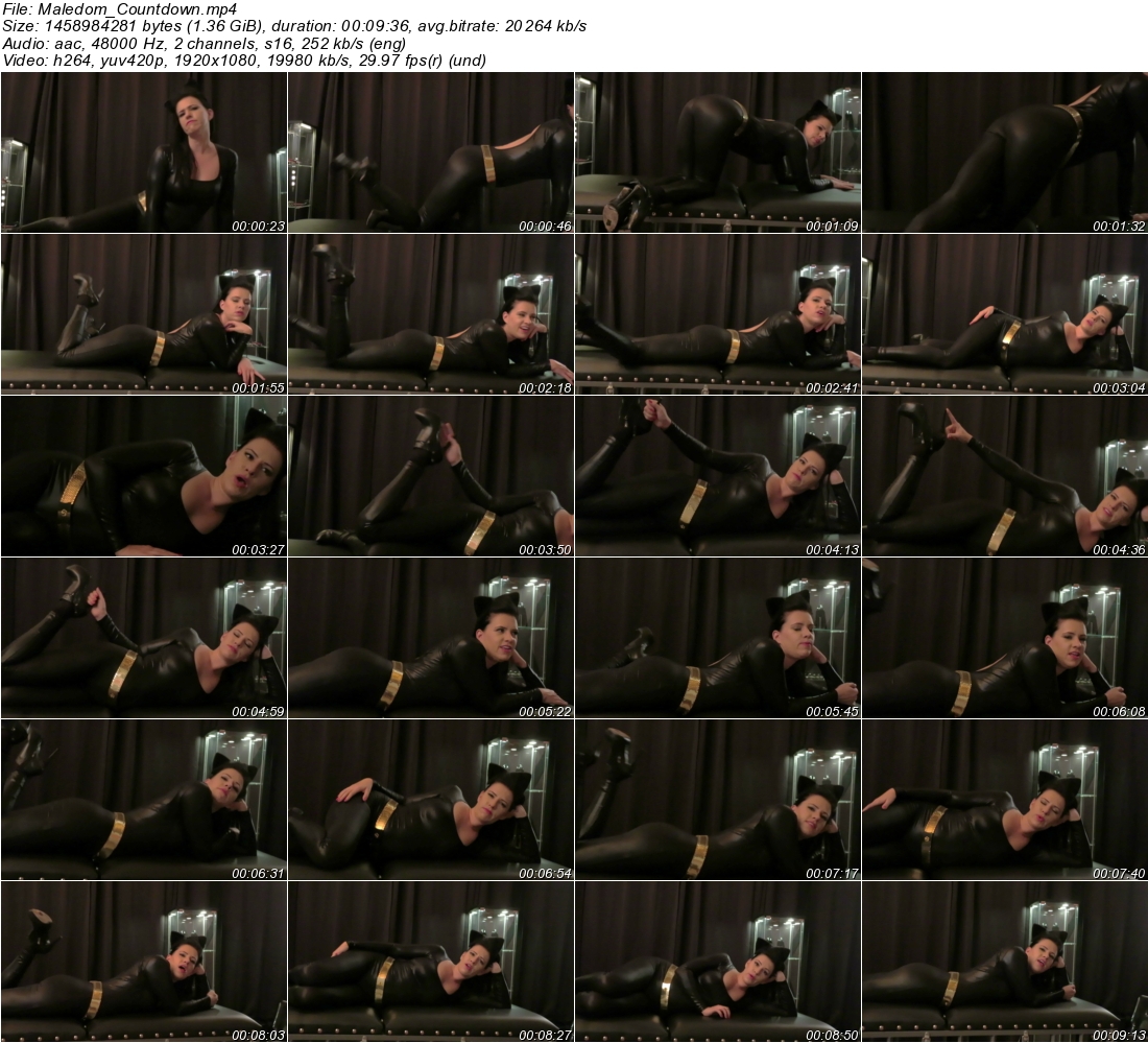 s1chk4rhr2p.jpeg