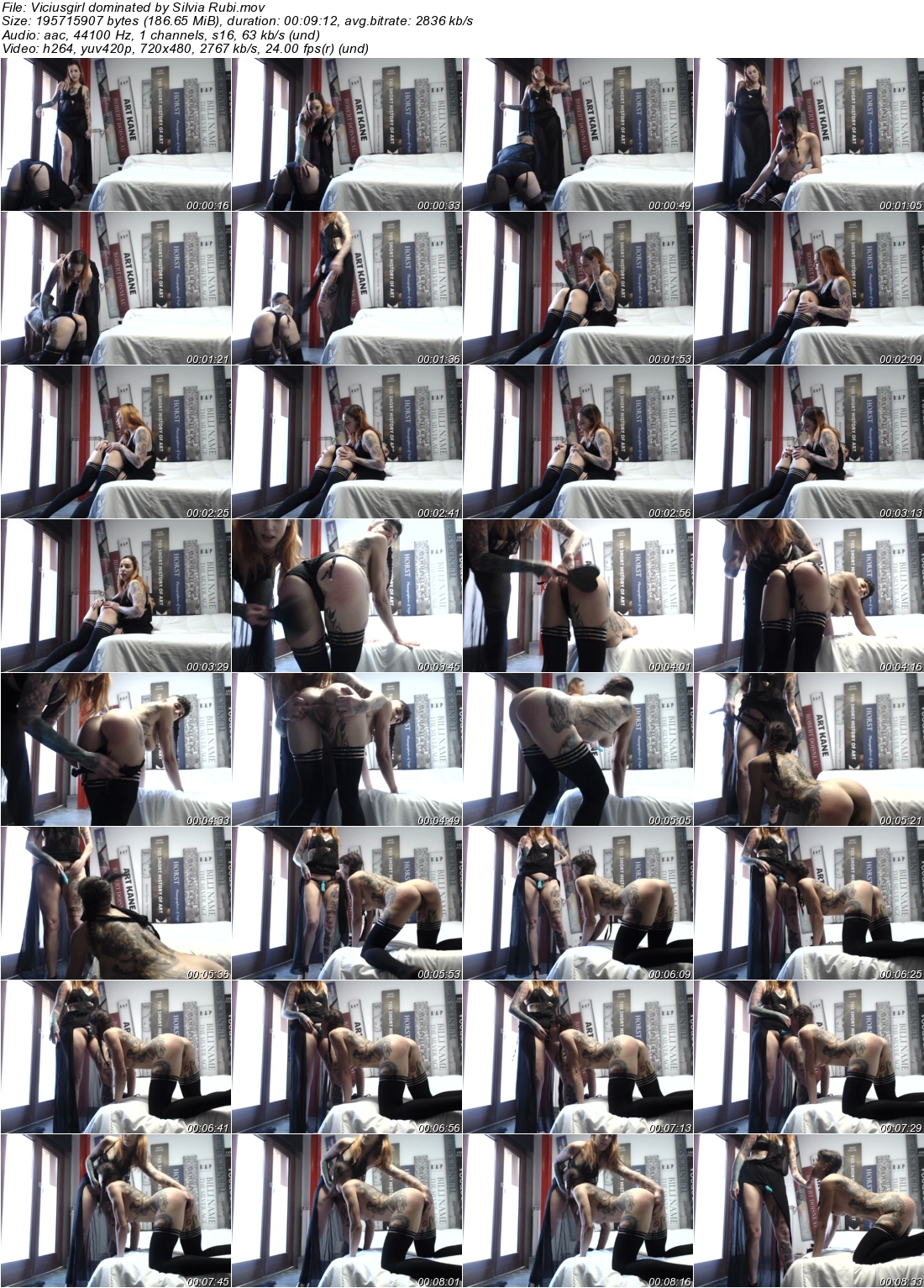 a2m41qspp3w.jpeg