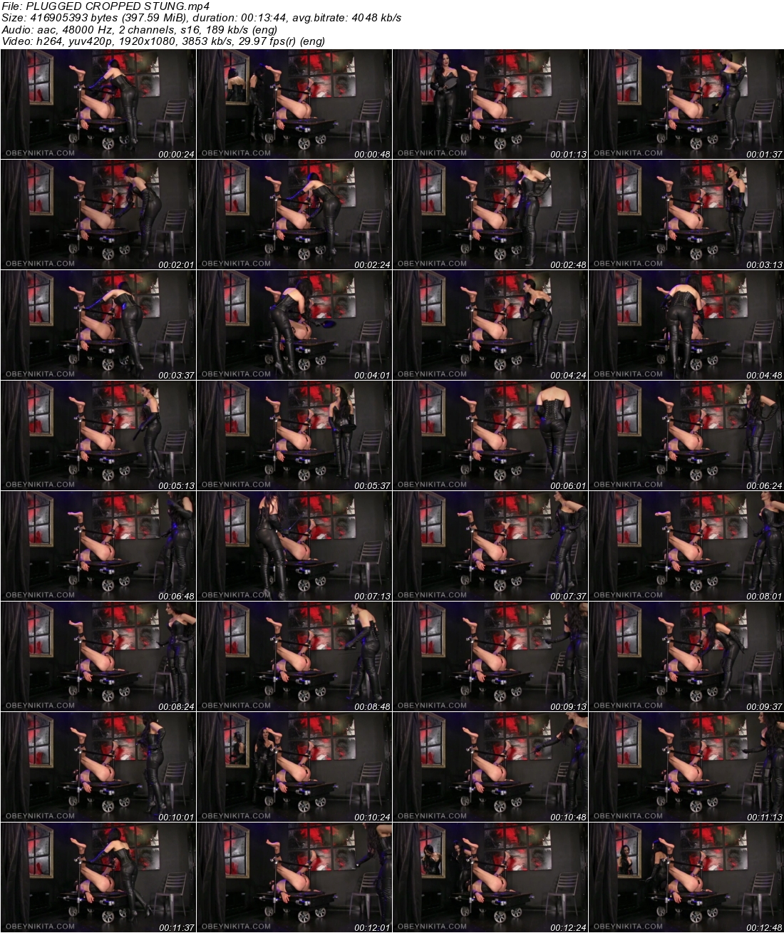 2ykvczuz5wv.jpeg
