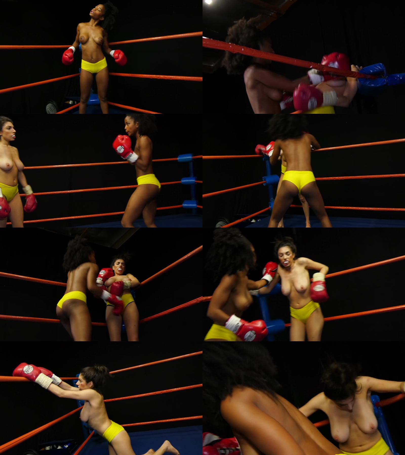 dhogcbbious.jpg