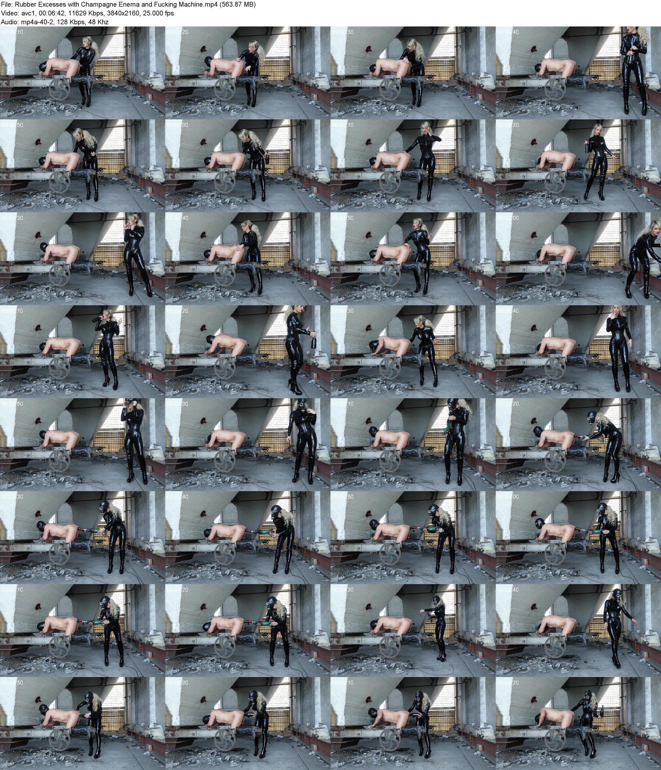 gillxpea115.jpg