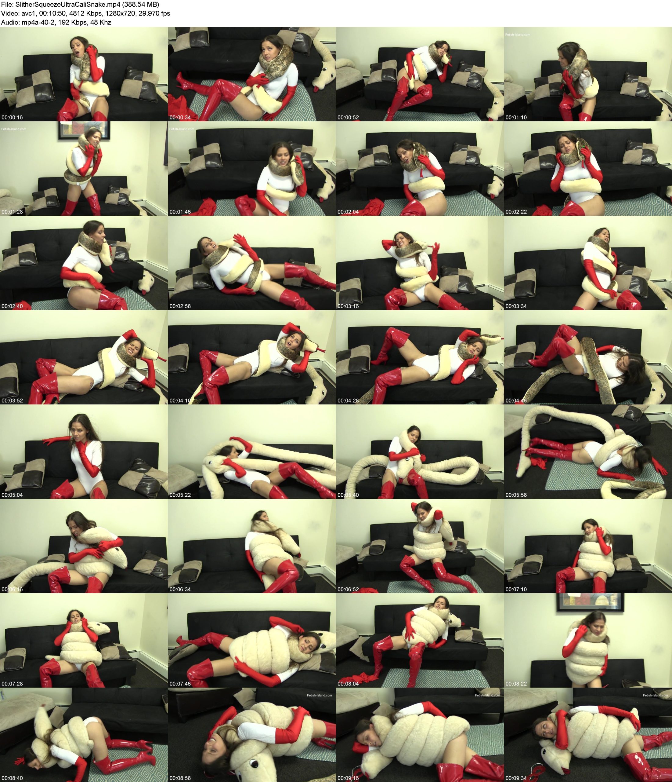 mmsuymqc1xf.jpg