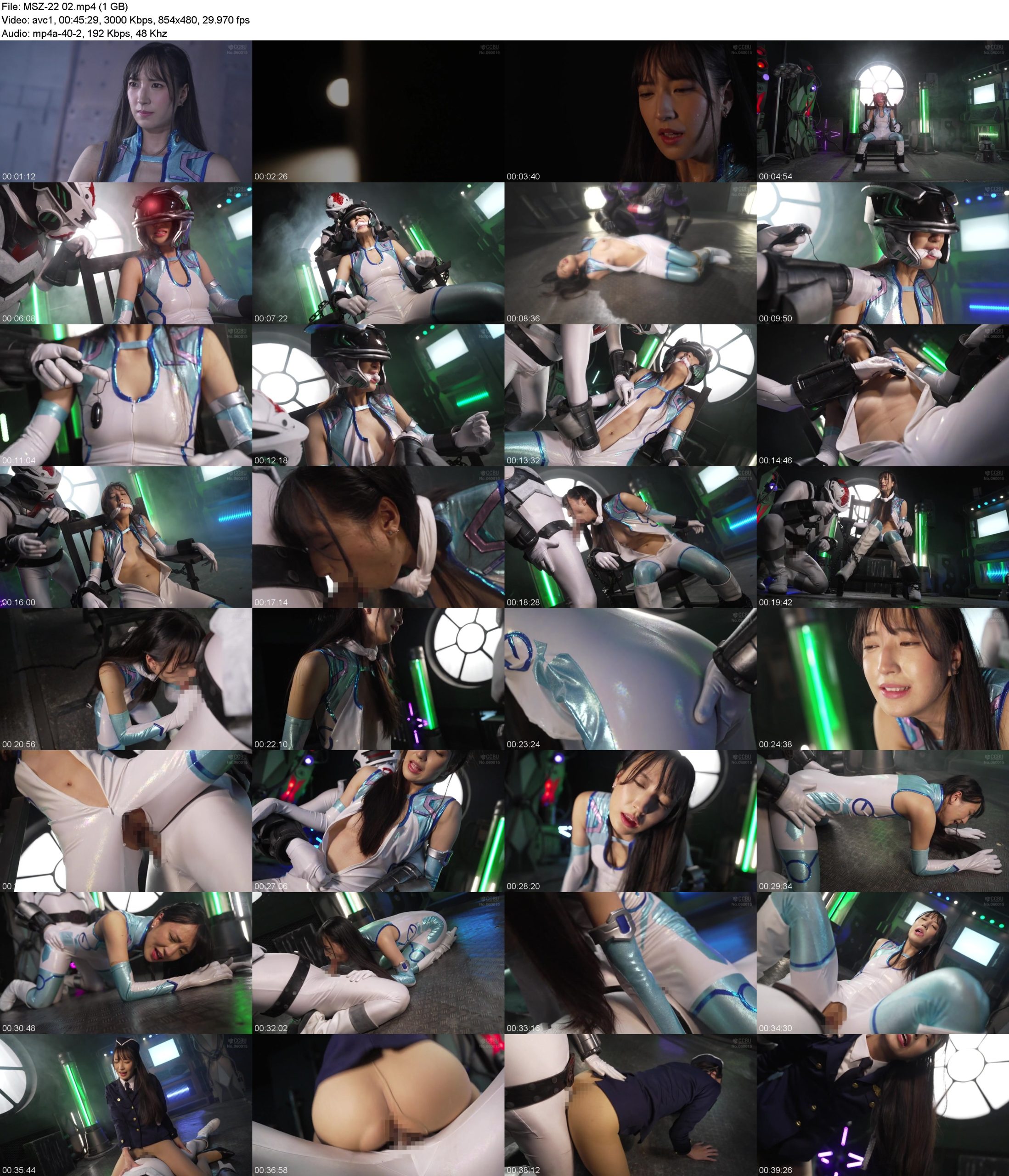 bp2sexrtnbr.jpg