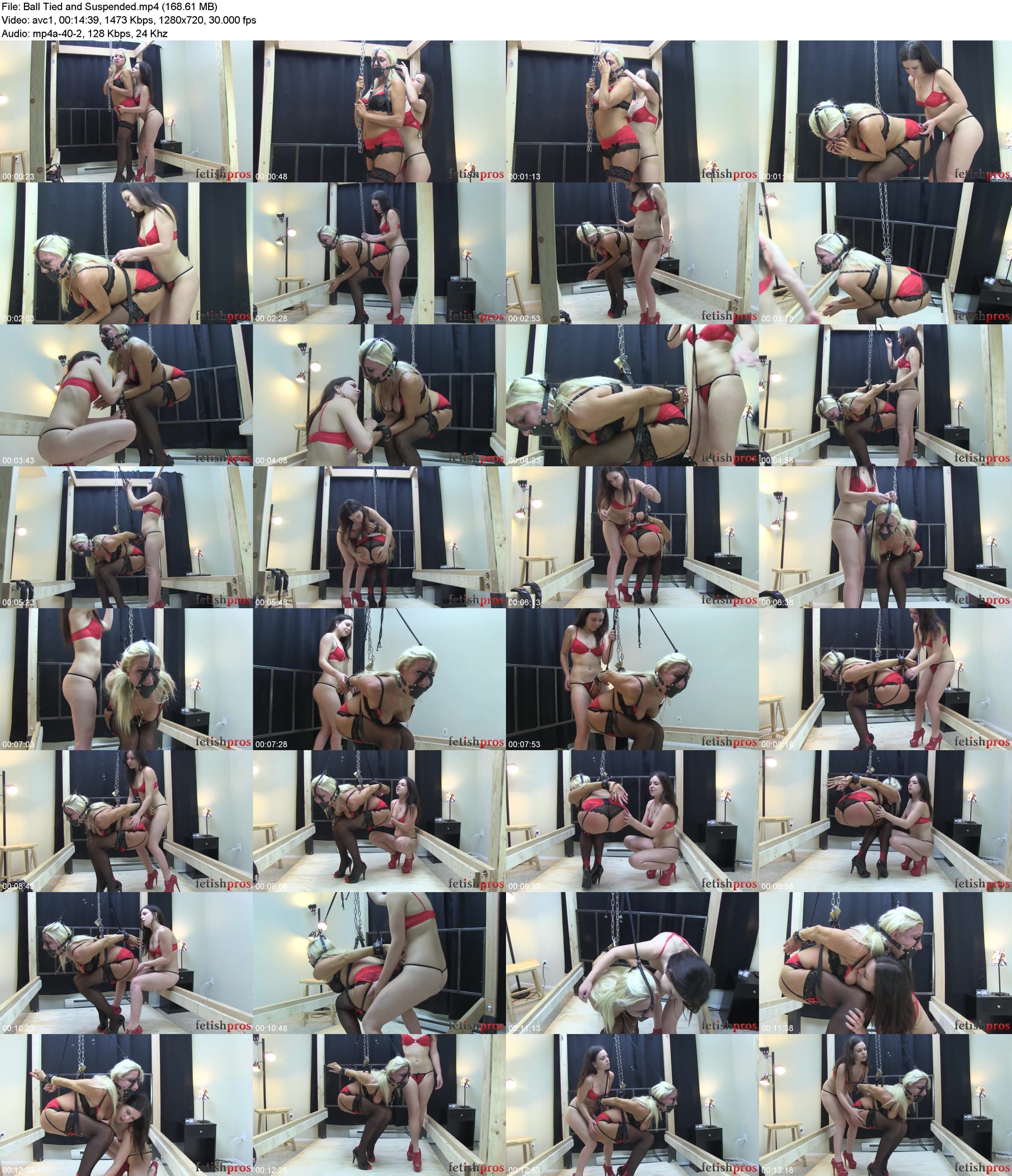 avn35qifpbc.jpg