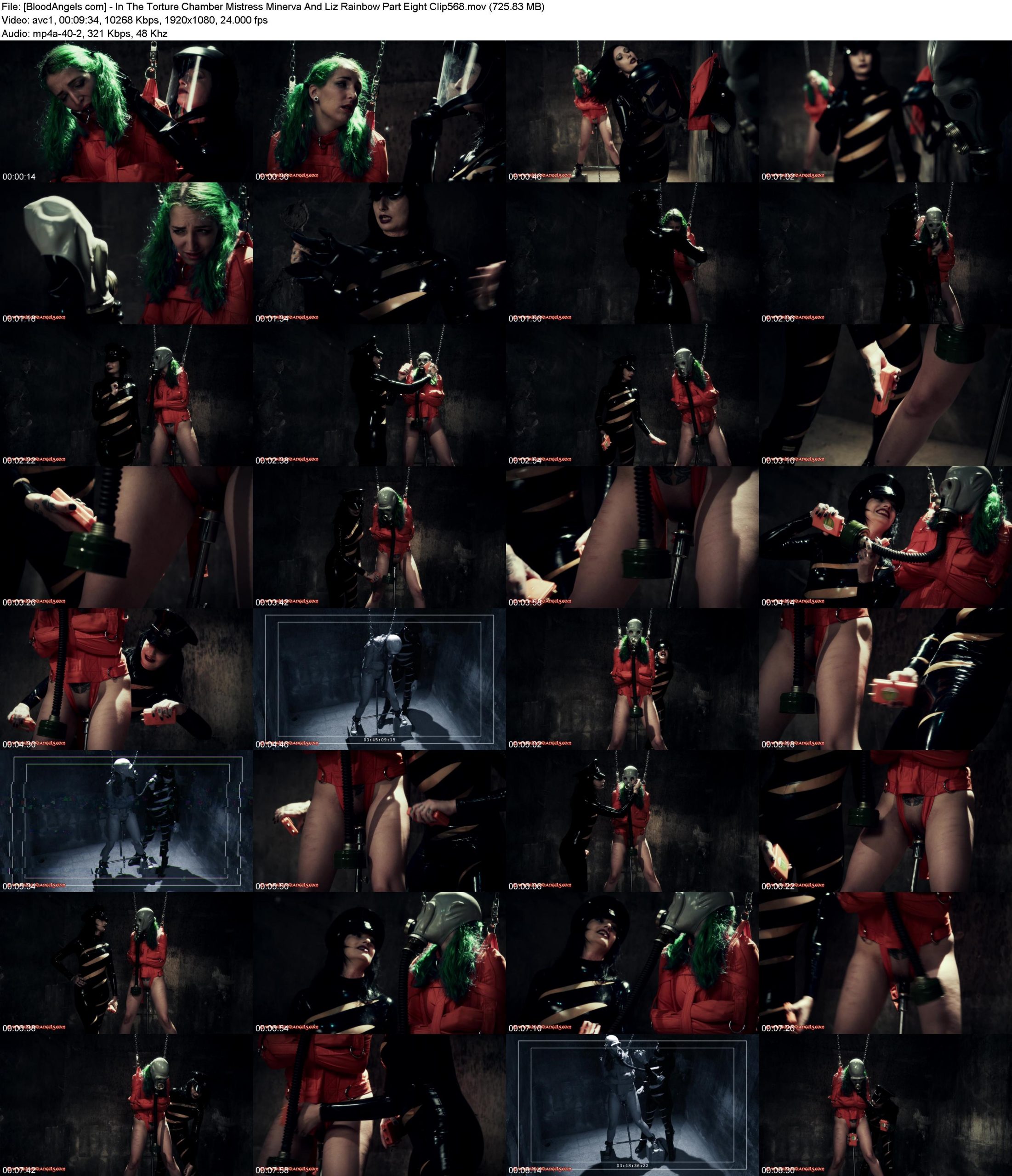 dt1pwtjo50d.jpg