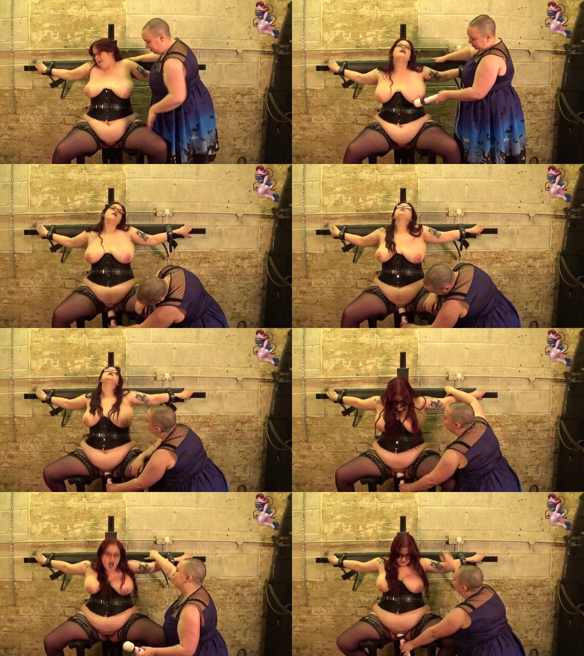 03myrpk3qpz.jpg