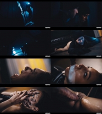 Shelena – No Honour Among Thieves