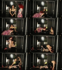 roomorgue american scientist pleasured by fembot