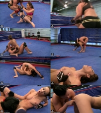 Abelia Vs Caterina