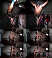 Harley Quinn is a crazy bitch! The complete